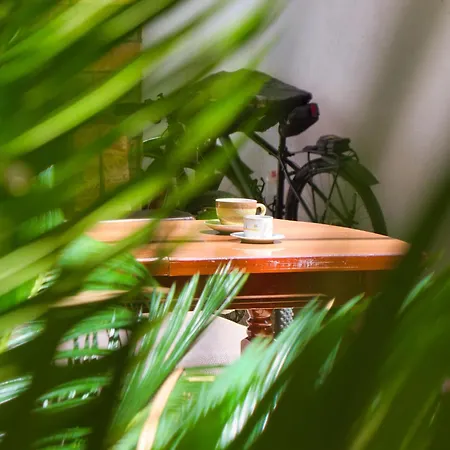 旅馆 & Day Tours *