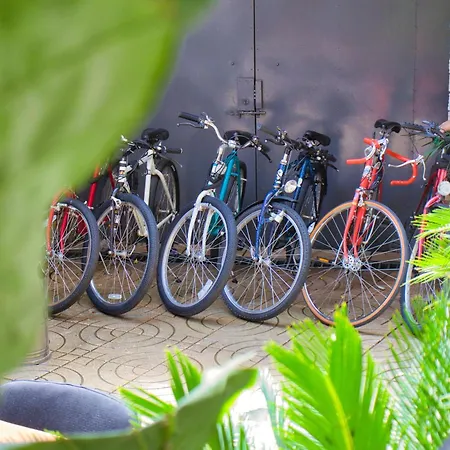 & Day Tours 旅馆 *