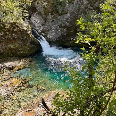 & Day Tours * Shkodër