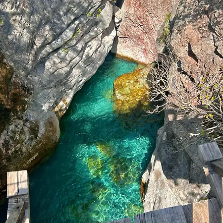 & Day Tours 旅馆 Shkodër