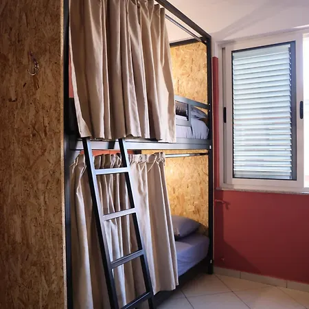 & Day Tours Shkodër