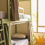 & Day Tours بيت شباب