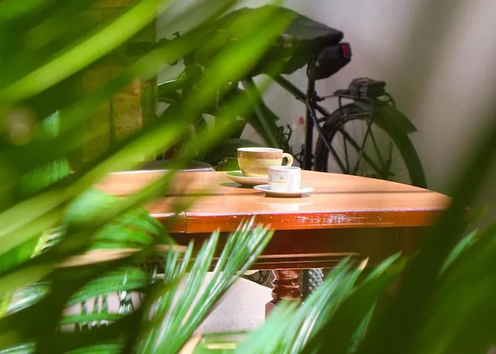 Auberge de jeunesse & Day Tours *