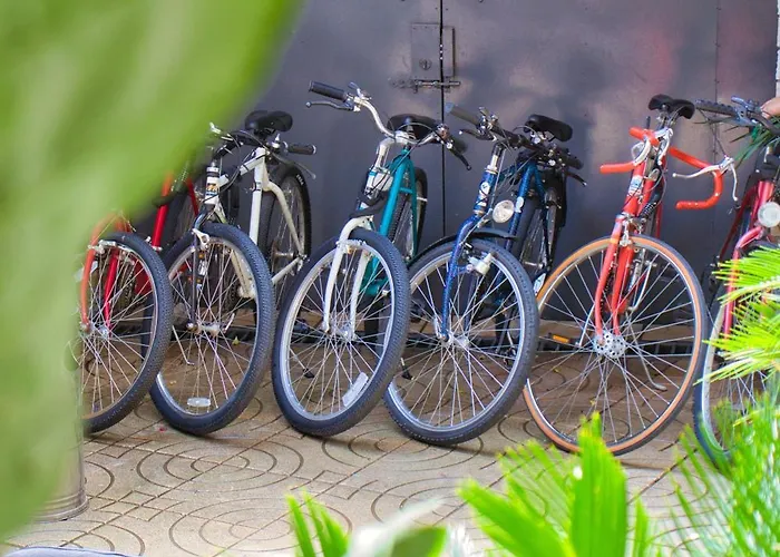 & Day Tours 호스텔 *