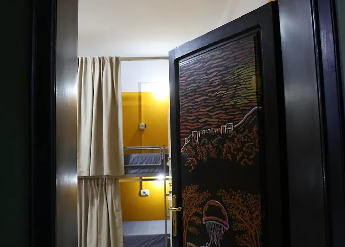 & Day Tours Hostal *