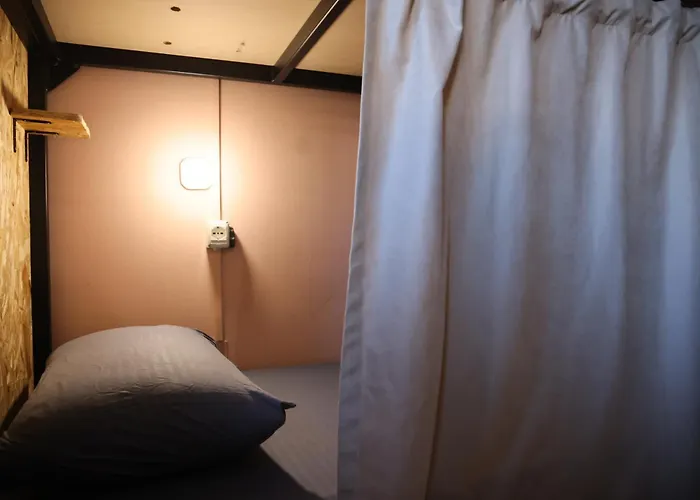 & Day Tours 호스텔