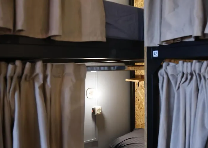 & Day Tours 호스텔