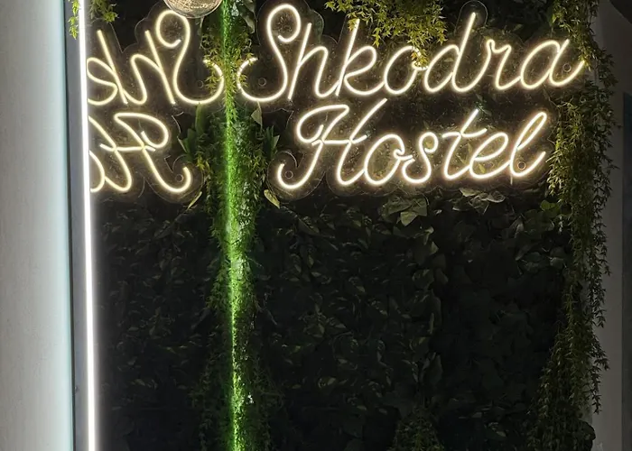 & Day Tours 호스텔